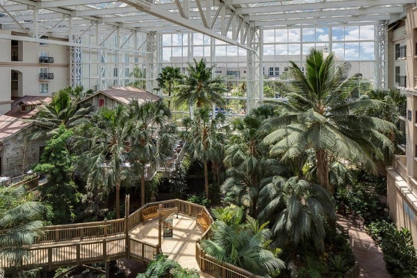 Gaylord Palms Resort & Convention Center image 23