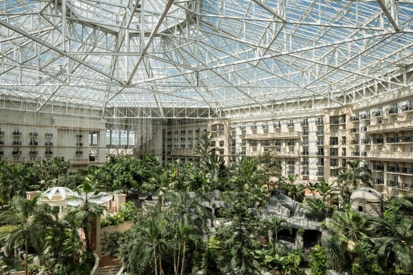 Gaylord Palms Resort & Convention Center image 24