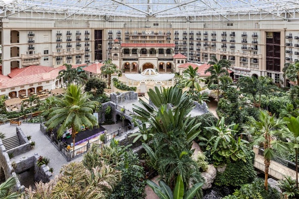 Gaylord Palms Resort & Convention Center image 7